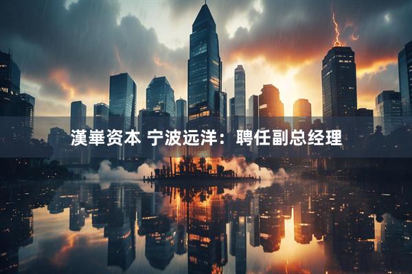 漢崋资本 宁波远洋：聘任副总经理