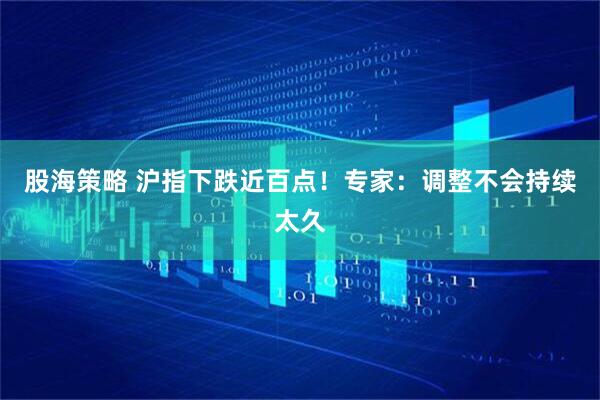股海策略 沪指下跌近百点！专家：调整不会持续太久