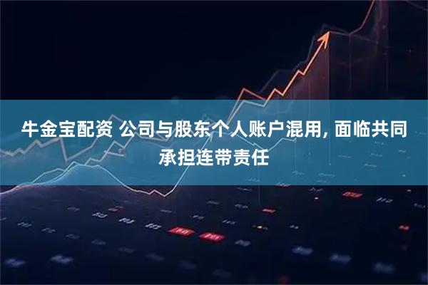 牛金宝配资 公司与股东个人账户混用, 面临共同承担连带责任